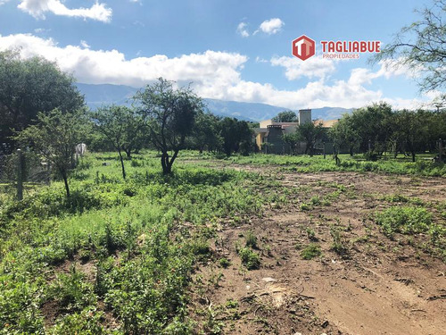 Terreno - Amplio Y Con Grandes Vistas