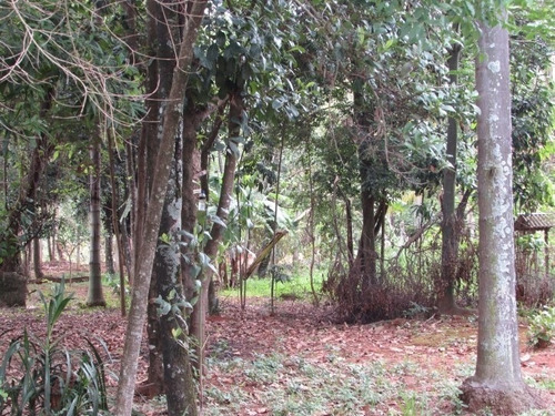 Nova Era - 2.904m² - Só Terreno - Oportunidade - 730089r