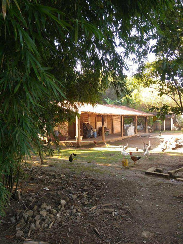 Imagem 9 de 30 de Chácara Com 3 Dorms, Itaim Mirim, Santana De Parnaíba - R$ 1.9 Mi, Cod: 235050 - V235050