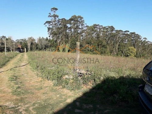 Imagem 6 de 9 de Area - Fazenda Aya - Ref: 2245 - V-4429