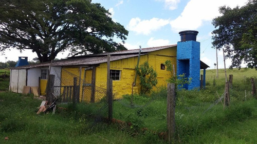 Imagem 26 de 30 de Rancho Com 8 Dormitórios À Venda, 300 M² Por R$ 4.000.000,00 - Sitio São José - Viamão/rs - Ra0001