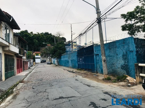 Imagem 4 de 5 de Area - Limão - Sp - 625627
