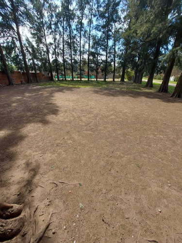 Imagen 4 de 5 de Terrenos En Venta En Francisco Alvarez