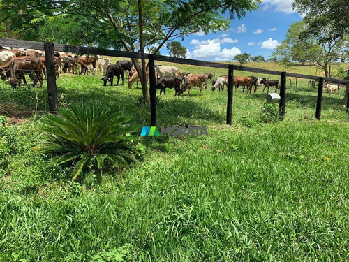 Imagem 5 de 10 de Fazenda - Zona Rural - Ref: 4896 - V-mta4896