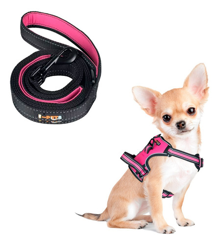 Pechera Arnes + Correa Perro E-pets Ajustable Raza Extra Ch