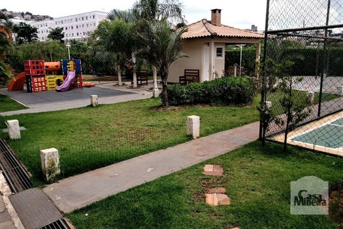 Imagem 14 de 15 de Apartamento À Venda No Santa Maria - Código 436722 - 436722