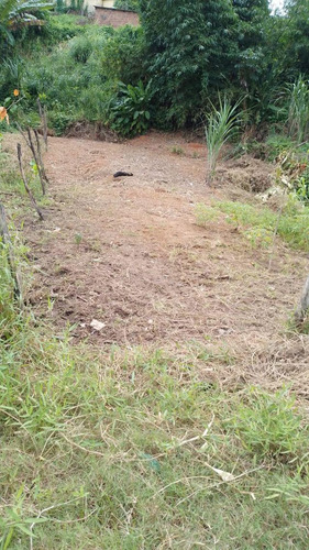 Vendo Em Terreno Em São Lourenço Da Mata