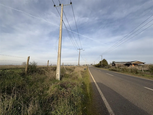 Parcela En Venta Chillán Camino Boyen 