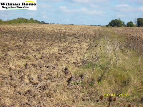 12hás 6189m2 C/ 2 Casas Sobre Ruta 5