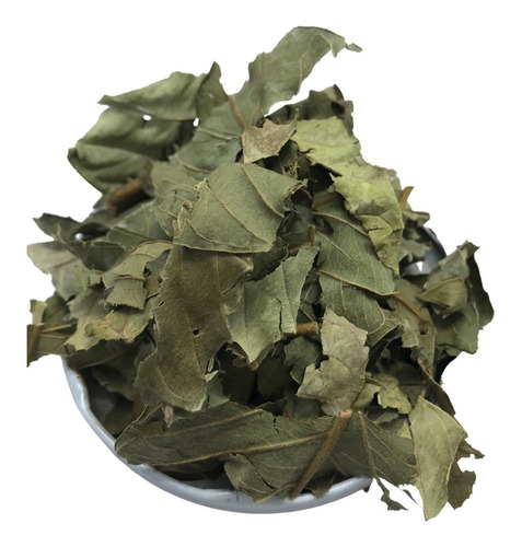 Goiabeira Folha 1kg