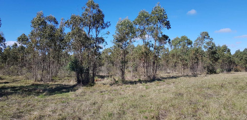 Chacra 3 Has En Venta En Ruta 6 Km 43.600 Paraje Matasiete