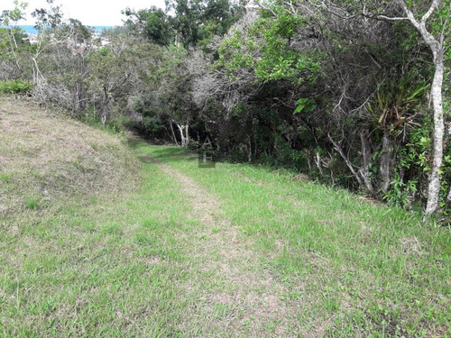Terreno Para Venda Em Ferraz Garopaba-sc - Tv246