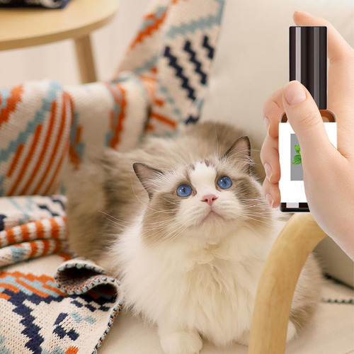 Gato Nip Spray Spray De Hierba Gatera Para Gatos 30 Ml De Al