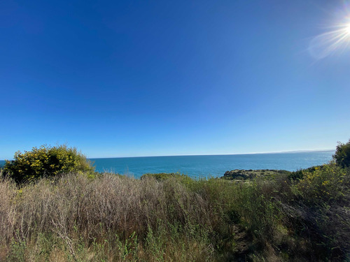 Curanipe Terreno Con Vista 10.000 M2 Aprox (73893)