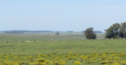 Estancia Ganadero - Agrícola Ref. 1454