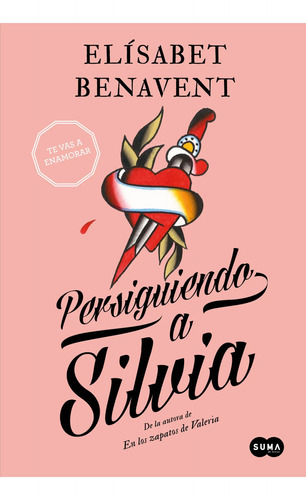 Persiguiendo A Silvia - Elisabet Benavent - Suma - Libro