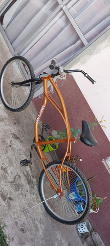 Bicicleta Chopera Rodado 26
