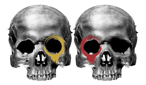 Vinilos Decorativos Craneos 03 Arte Skull 2 Sticker De 55x47 Color Multicolor