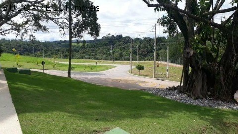 Terreno - Te01116 - 69201456