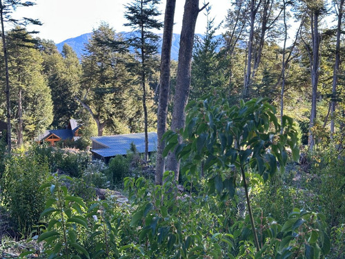 Lote Con Suave Pendiente Con Vista Al Lago Nahuel Huapi, Villa La Angostura