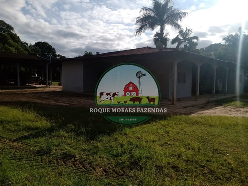 Imagem 16 de 20 de Fazenda À Venda Com 80 Alqueires Paulista No Vale Do Ribeira-sp Ref.: 0858