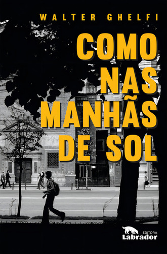 Como Nas Manhãs De Sol, De Walter Ghelfi. Editora Labrador Em Português