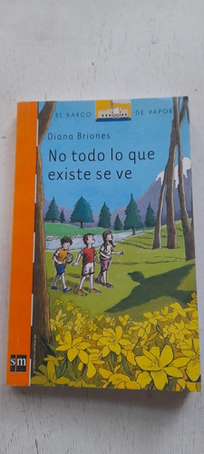 No Todo Lo Que Existe Se Ve De Diana Briones - Sm (usado)