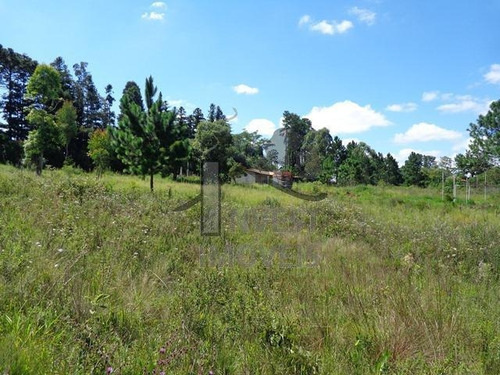 Imagem 6 de 7 de Cód 1870 - Belíssimo Terreno Com Área De 4.321 M². - 1870