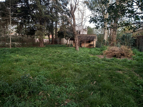 Excelente Lote Parquizado De 234 M2 Del Viso C/ Escritura
