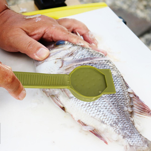 Removedor De Escamas De Pescado Removedor De Escamas De Pesc