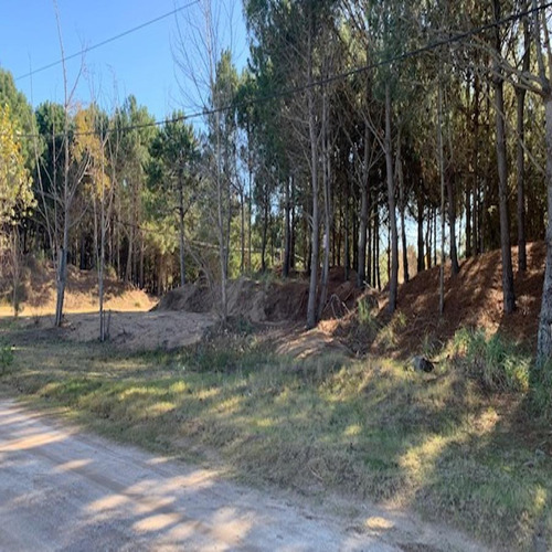 Imagen 7 de 9 de V099 - Lote De 1.000 Mts. San Bernardo Sale!