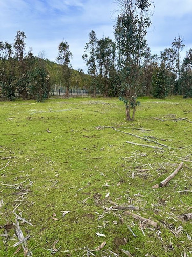 Parcelas En Vichuquén Al Lado De Laguna Torca Y Playa Llico