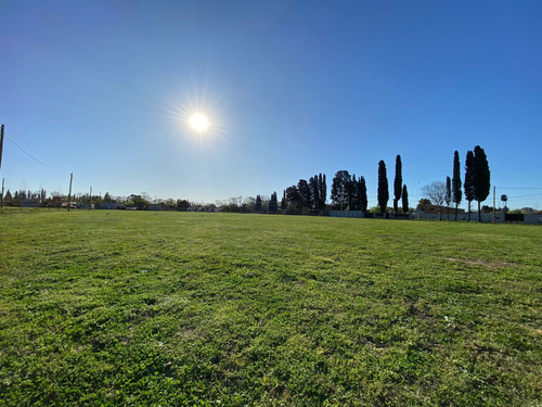 Terreno En Venta En Lobos