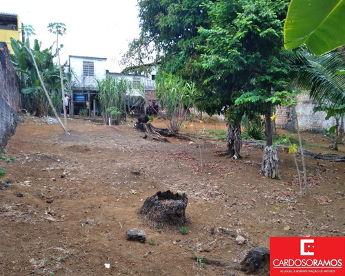 Imagem 14 de 19 de Casa - Ca01200 - 70750728