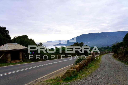 Parcela Única En Reserva Costera De Valdivia (bosque Nativo)