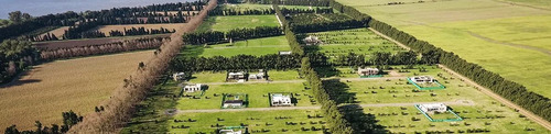 Imagen 10 de 14 de Terreno - Fighiera