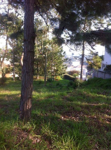 Imagem 3 de 7 de Terreno Residencial À Venda, Residencial Euroville, Carapicuíba - Te0802. - Te0802