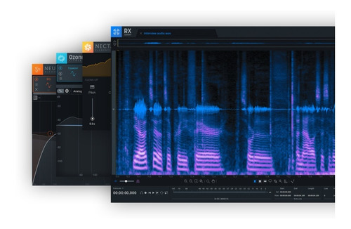 Izotope Elements Suite V6 Edu Oferta Software Msi