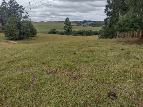 Imagem 4 de 30 de Chácara 4,5 Alqueires Casa Simples E Boa,poço Caipira Agua Cristalina,corrego No Fundo,fácil Acesso 800mts Do Asfalto,ótimo Pasto,27 Kms Itapetininga - Ch00081 - 69505662