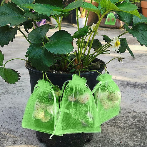 Protector De Uva Con Cordón, Bolsa De Malla Para Frutas, 100