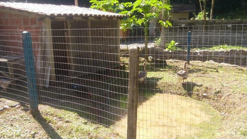 Imagem 14 de 30 de Chácara Em Caneca Fina, Guapimirim/rj De 10900m² 3 Quartos À Venda Por R$ 550.000,00 - Ch421832-s
