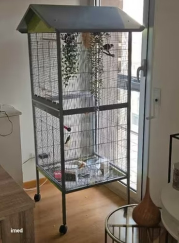 Jaula Ave Xl Con Ruedas Y Accesorios 1,7 M Envío Gratis