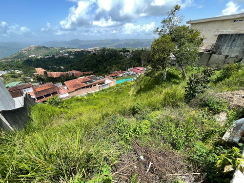 Terreno Para Venta En La Lagunita #2445