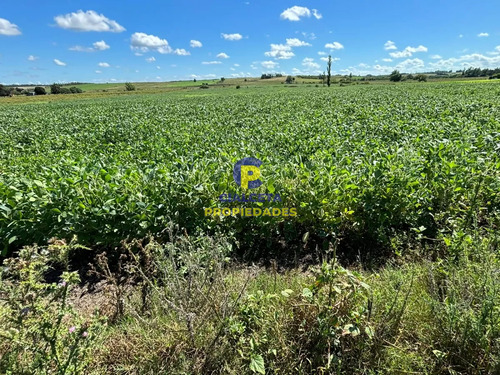 14 Hectáreas En Canelones