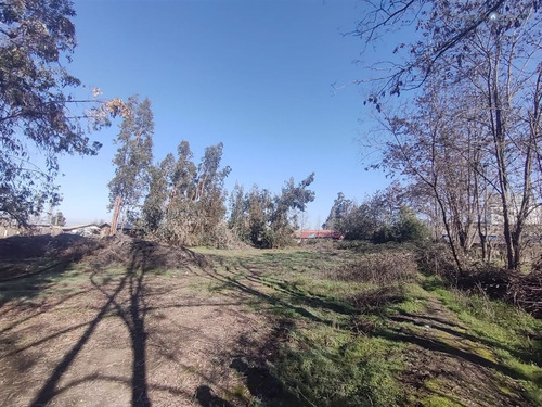 Terreno Construccion En Venta En Olivar