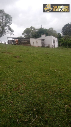 Imagem 14 de 21 de Chácara A Venda No Bairro Centro Em Piratini - Rs. - 2308-1