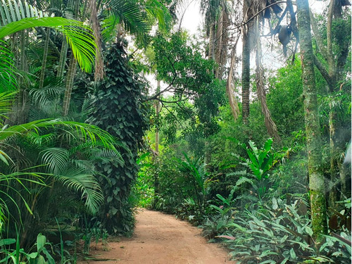 Chácara Em Jarinu-sp - Paraíso - Muito Verde, Piscina, Casa