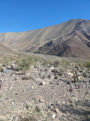 Venta Sitio En Vicuña Valle De Elqui