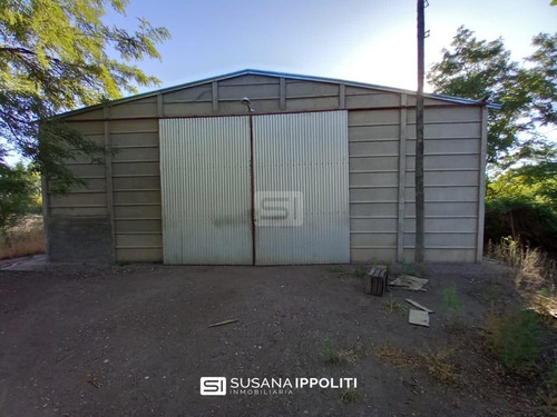 Imagen 2 de 23 de Finca Productiva De 17ha En General Alvear - Mendoza