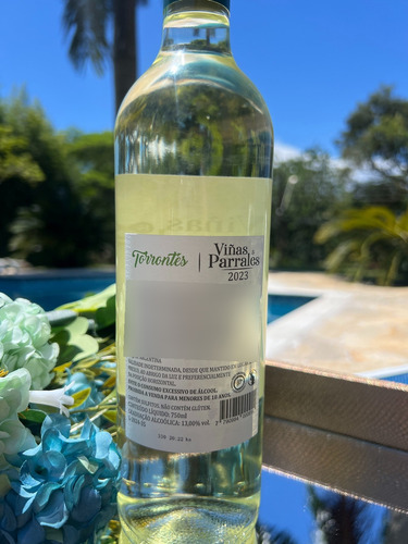 Vinho Branco Torrontés Varietal Argentino Viñas Parrales